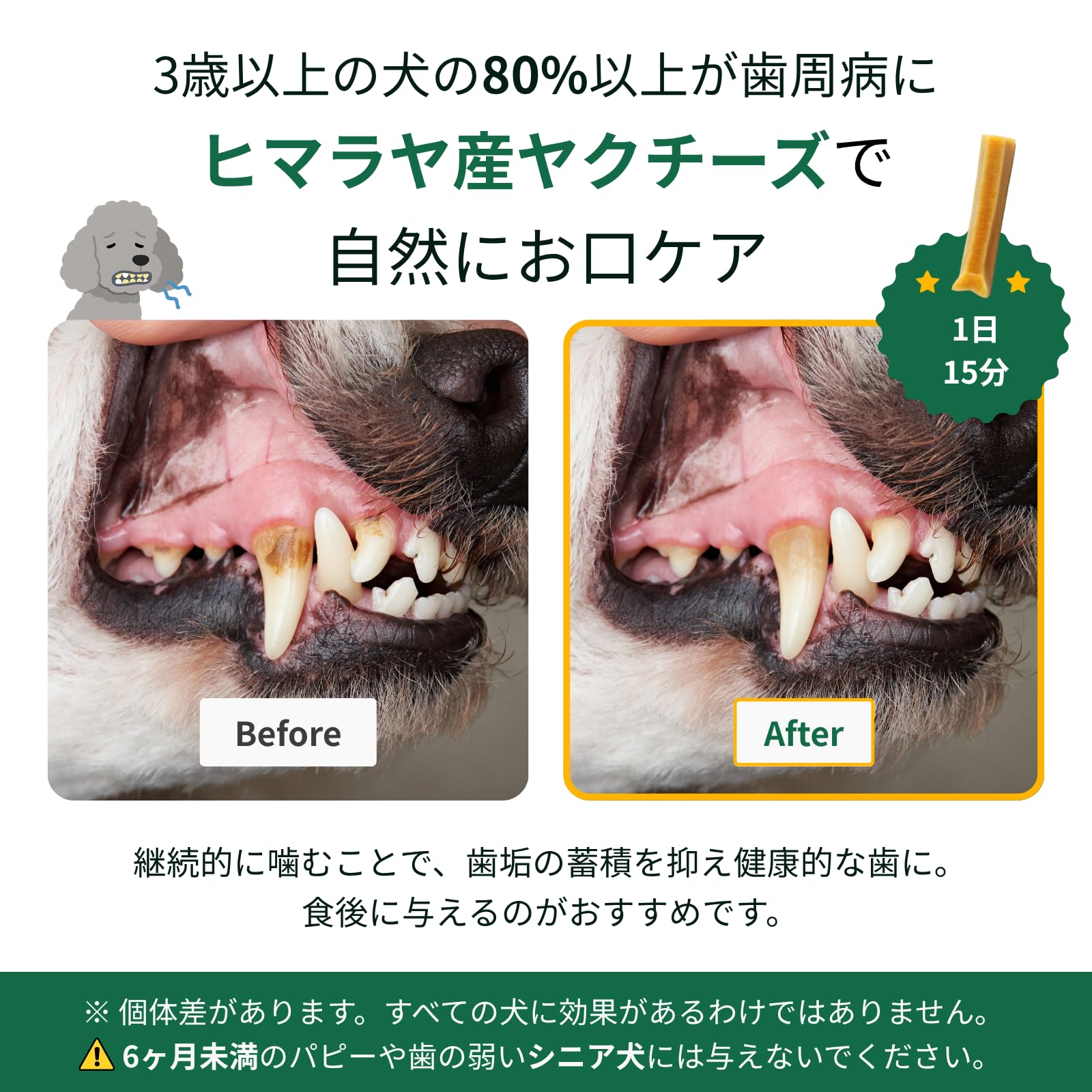 Amazon.co.jp: GoDoggy ヒマラヤ産ヤクチーズスティック 無添加 ハード